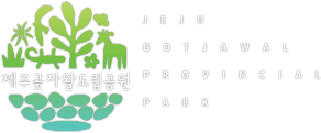 제주곶자왈도립공원