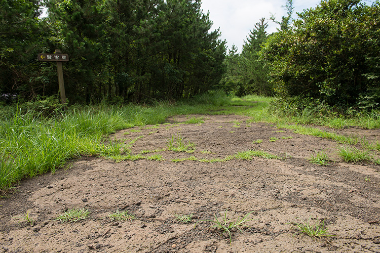 2 코스 곶자왈 사진