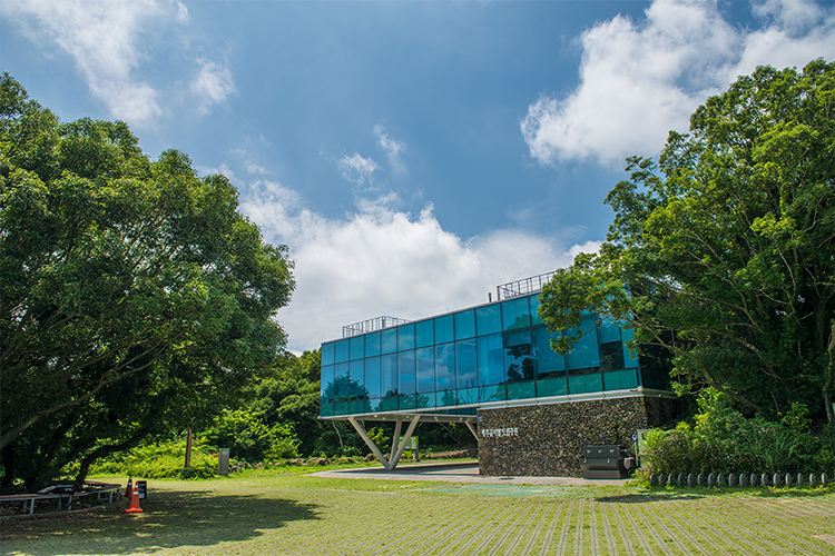 제주곶자왈도립공원 탐방안내소