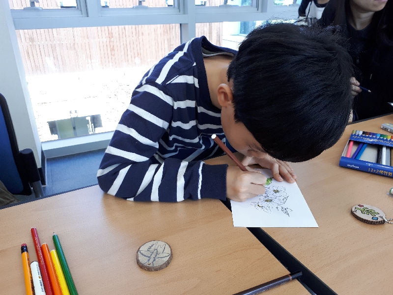 2017년 도감컬러링엽서체험