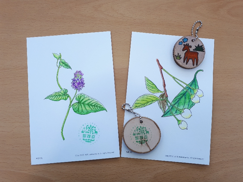 2017년 도감엽서와 곶자왈 열쇠고리