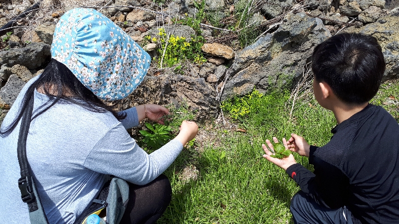 2017년 새가족 놀이