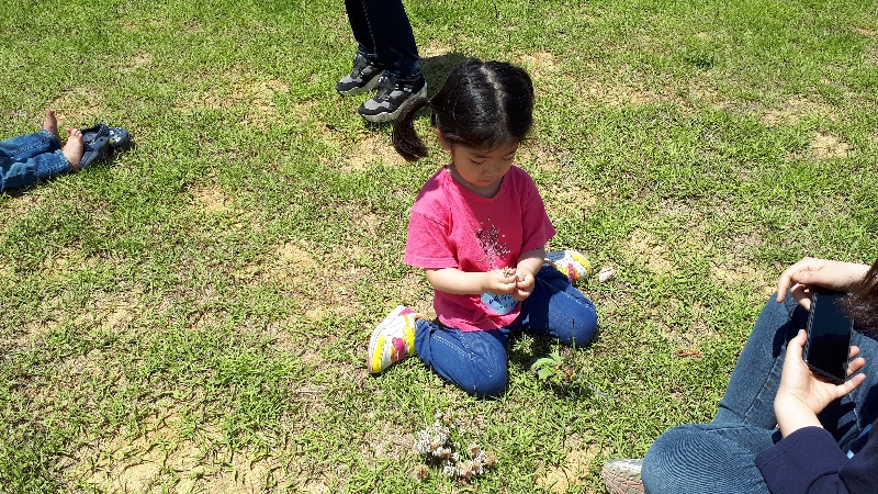 2017년 생태놀이"자연물을 이용한 만들기"