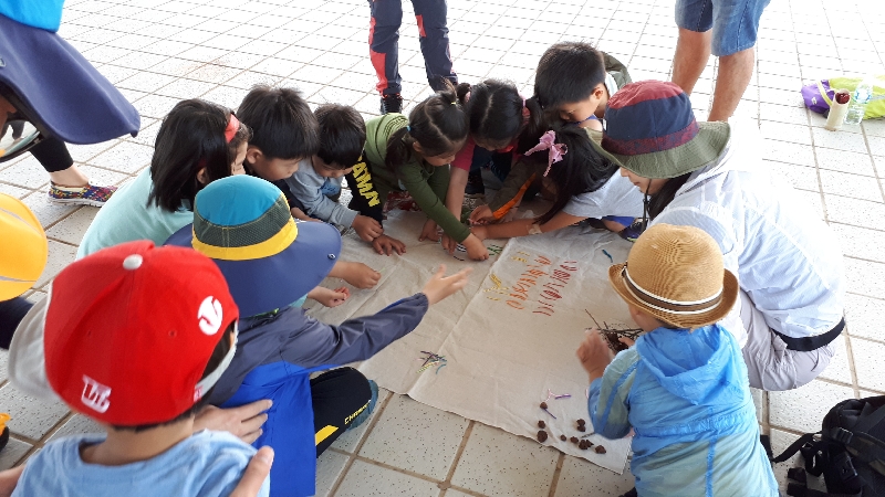 2017년 생태놀이 