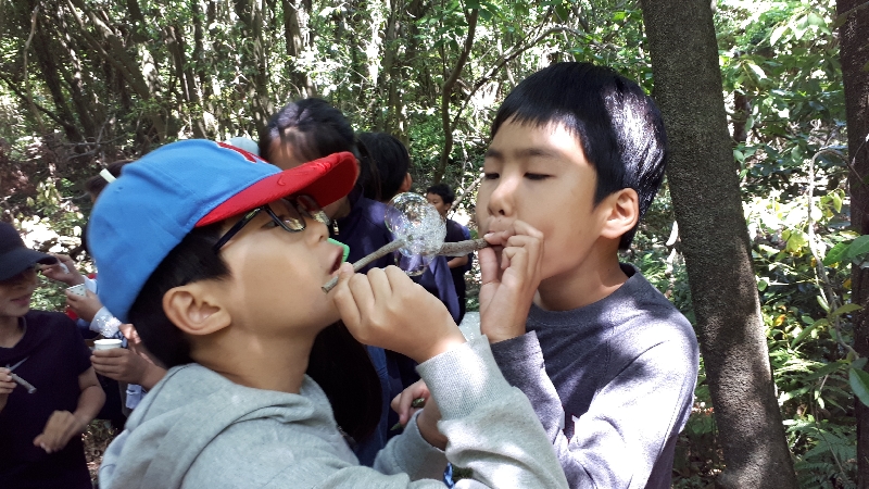 2017년 숲체험"칡줄기 체험"