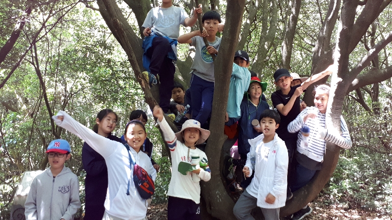 2017년 초등친구들 "곶자왈 체험" 타임