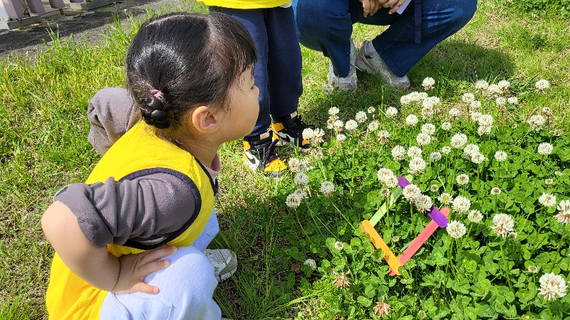 2024. 4.16숲속놀이터 (신화월드어린이집)