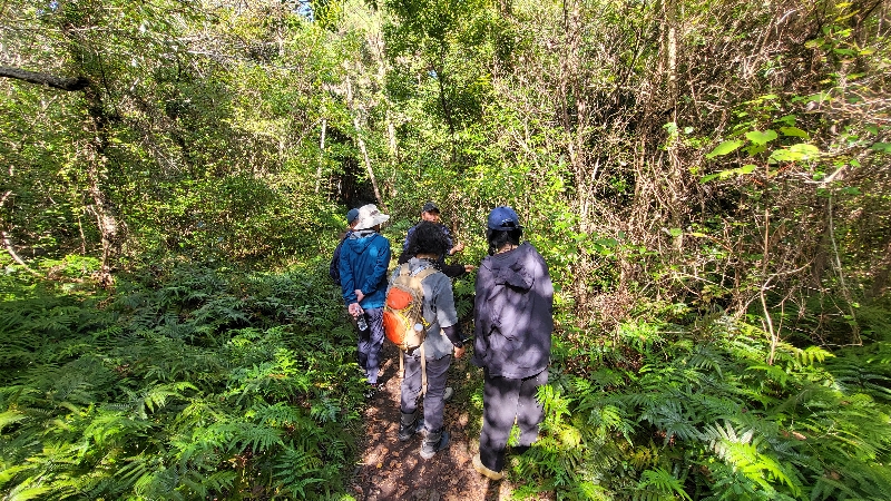 2024.10.29.생태모니터링