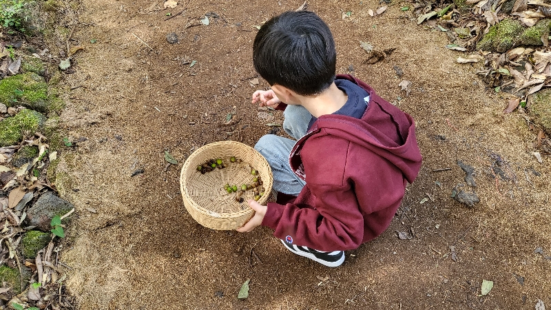 2024.11.9.숲속놀이터 (가족팀)