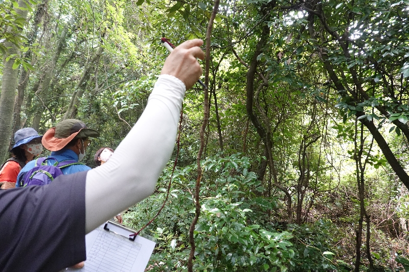 2020.08.04. 모니터링-덩굴팀