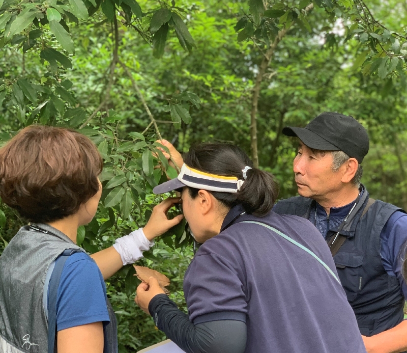 19.07.17 모니터링_자왈팀
