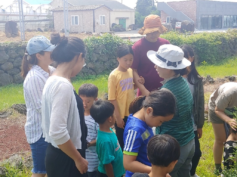 19.08.17 숲속놀이터  