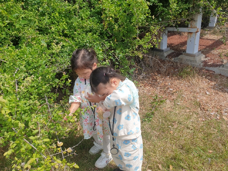 2022. 05. 23. 숲속놀이터(대정어린이집5세)