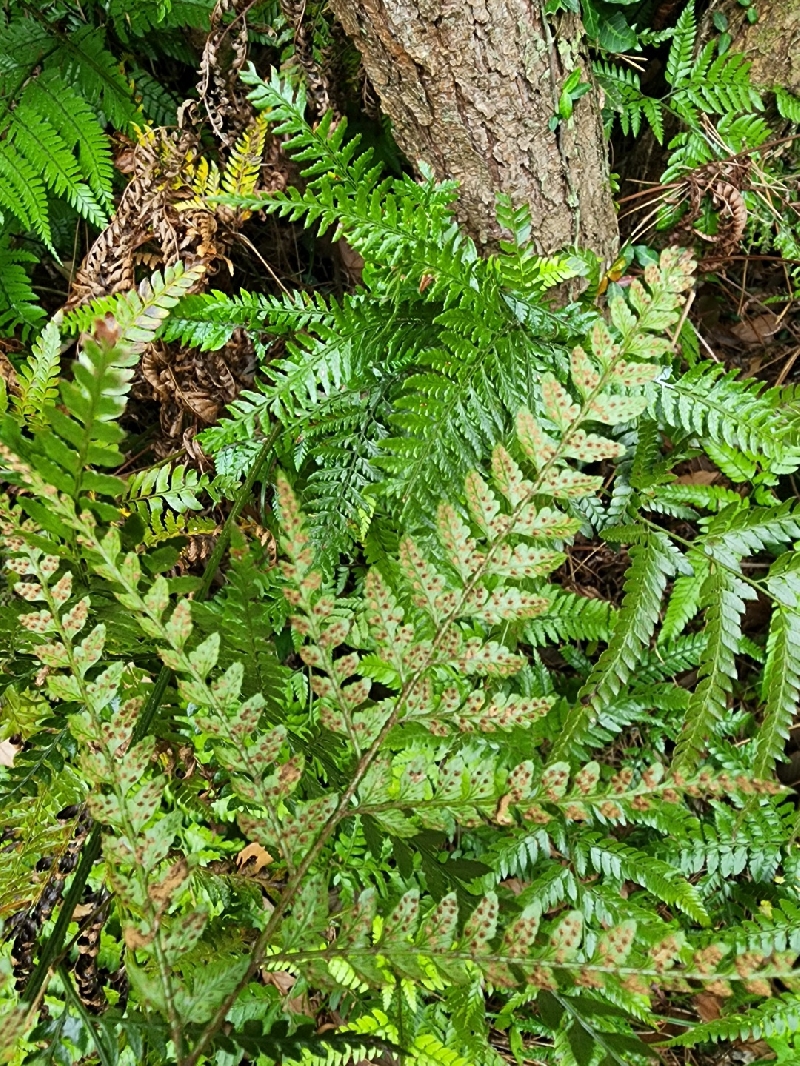 2022. 06. 15. 모니터링