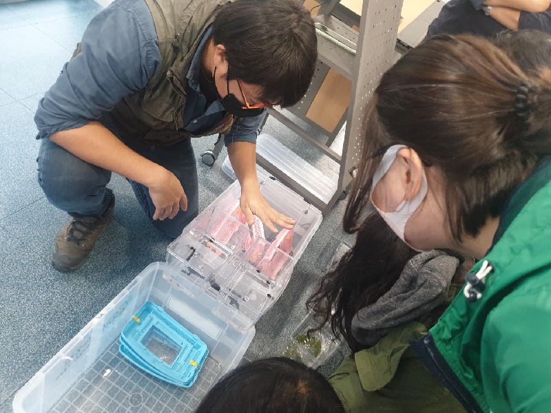 2022. 11. 16. (수) 곶자왈 생태특강 - 곶자왈의 야생동물