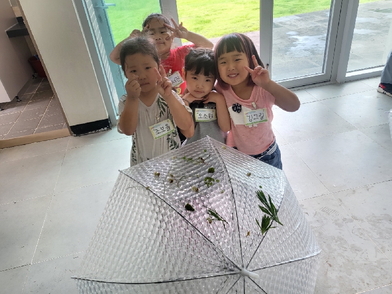 2023. 07. 25. 숲속놀이터(대정어린이집)