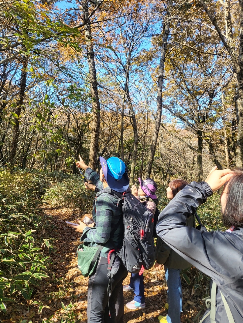 2023. 11. 22. 정기모니터링