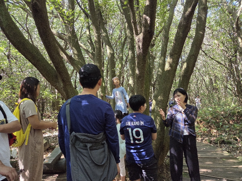 2025.10.11 영어 숲 해설 탐방