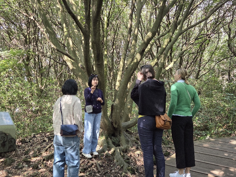 2025.11.01 영어 숲 해설 탐방