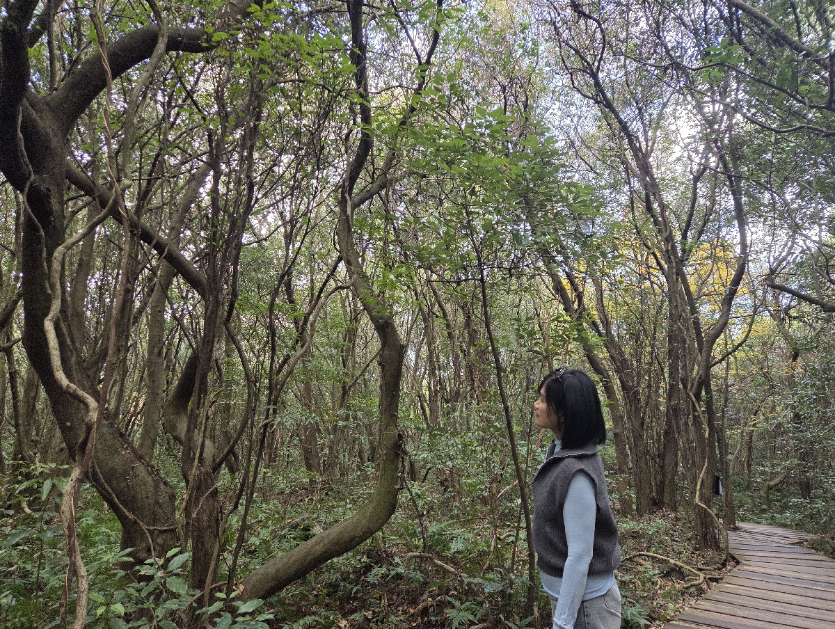 2025.11.29 영어 숲 해설 탐방