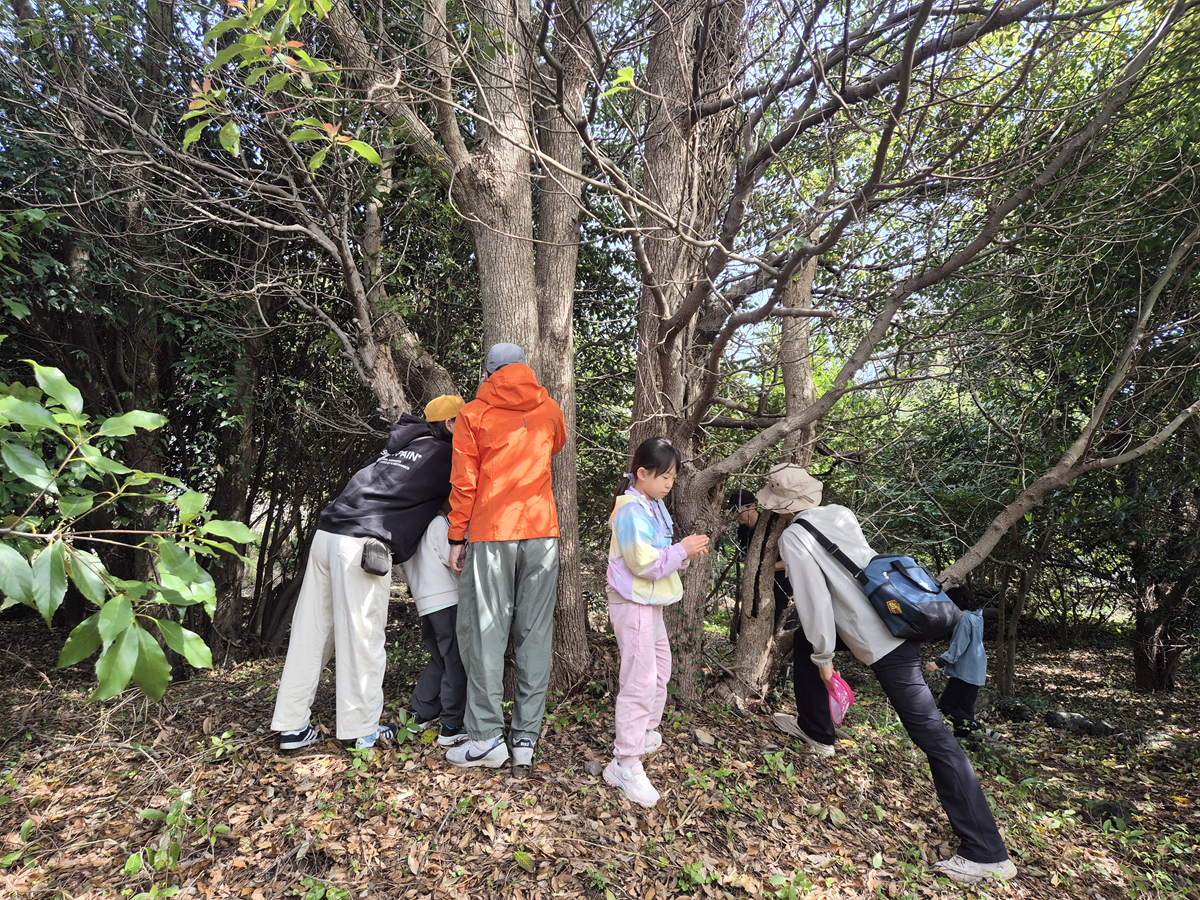 제1차시,숲 가족 놀이터  후기
