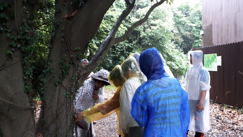  2017년 저청초 친구들~^^