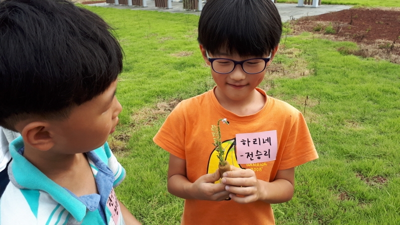 2017년 9월 자연미술