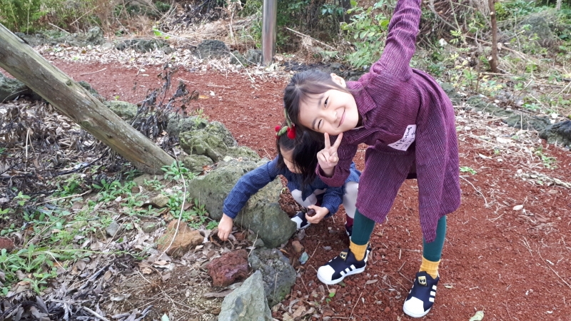 2017년 10월 자연미술