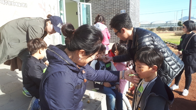 2017년 11월 곶자왈 자연미술