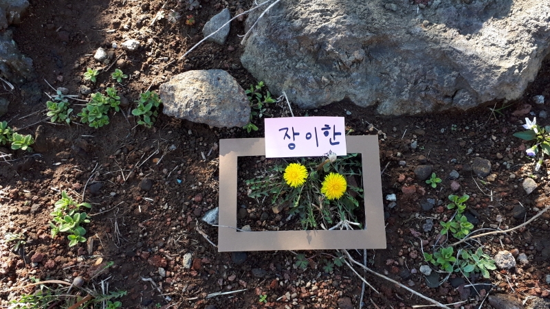 2018년도 3월 곶자왈 자연미술